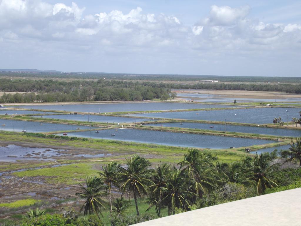 Apart Canoa Quebrada
